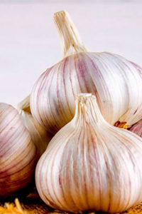 Organic Garlic Cloves (eating)
