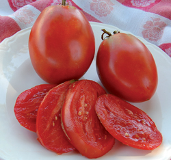 Organic Amish Paste Tomato Plant