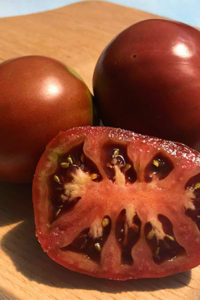 Organic Japanese Black Truffle Tomato Plant