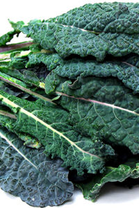 Organic Dinosaur Kale